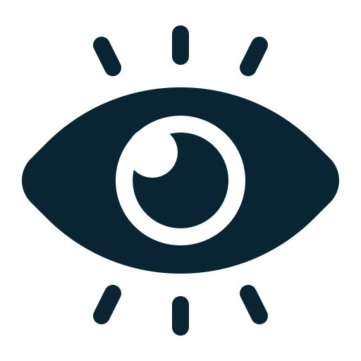 Vision